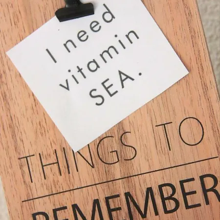 De Grutter 招待所 4*