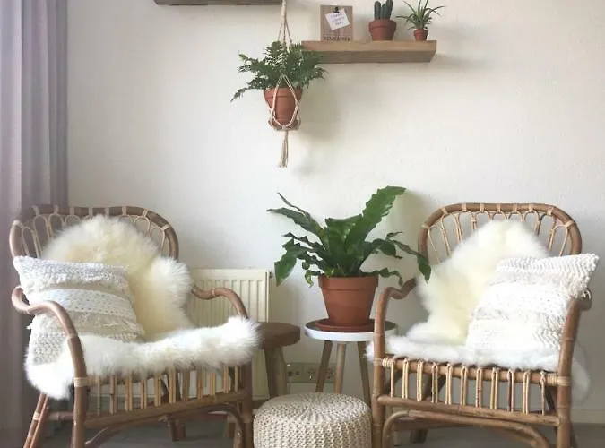 De Grutter 赞德沃特